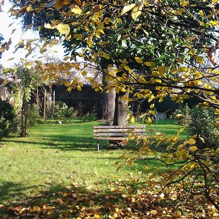 Il Pettirosso B&B Certosa di Pavia Luaran gambar