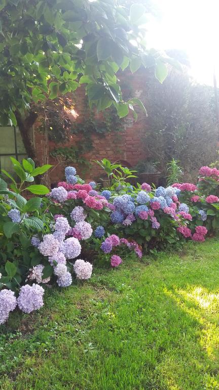 Il Pettirosso B&B Certosa di Pavia Luaran gambar